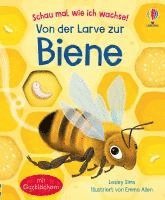 bokomslag Schau mal, wie ich wachse! Von der Larve zur Biene