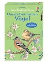 bokomslag Natur-Entdecker-Karten: Unsere heimischen Vögel