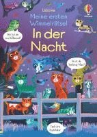 Kirsteen Robson - Meine ersten Wimmelrätsel: In der Nacht, Häftad