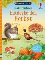 Simon Tudhope - Usborne Minis - Naturführer: Entdecke den Herbst, Häftad