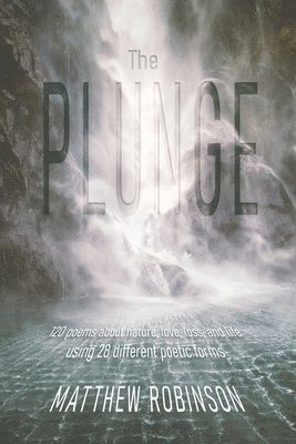 bokomslag Plunge
