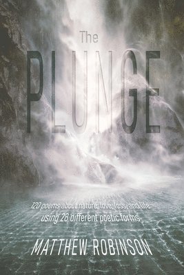 The Plunge 1