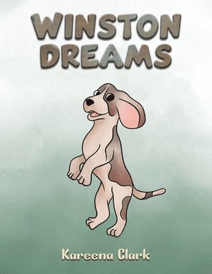 bokomslag Winston Dreams