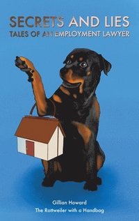 bokomslag Secrets and Lies - Tales of an Employment Lawyer