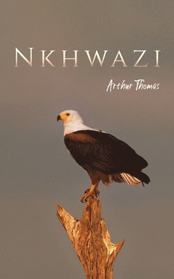 Nkhwazi 1