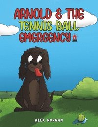bokomslag Arnold & The Tennis Ball Emergency