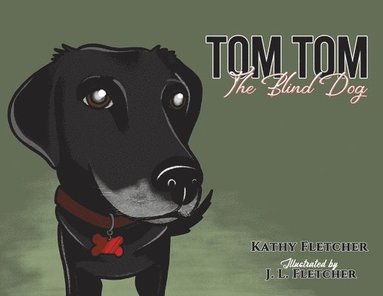 bokomslag Tom Tom the Blind Dog