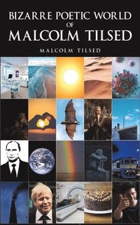 bokomslag Bizarre Poetic World of Malcolm Tilsed