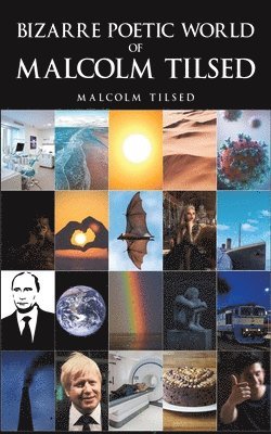 Bizarre Poetic World of Malcolm Tilsed 1