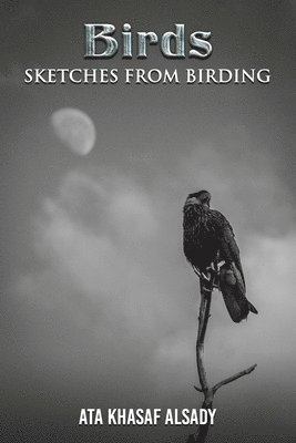 Birds: Sketches from Birding 1