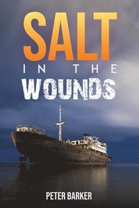 bokomslag Salt in the Wounds