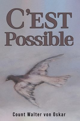 C'est Possible 1