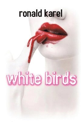 bokomslag White Birds