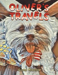 bokomslag Oliver's Travels