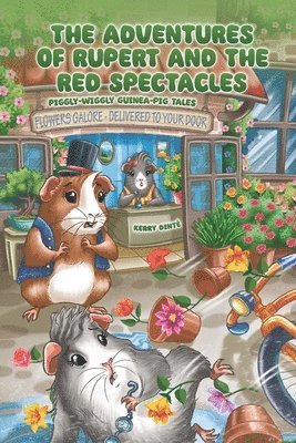 Kerry Dinté, Kerry Dinte - Adventures of Rupert and The Red Spectacles, Häftad
