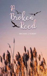 bokomslag A Broken Reed