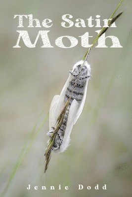 bokomslag The Satin Moth