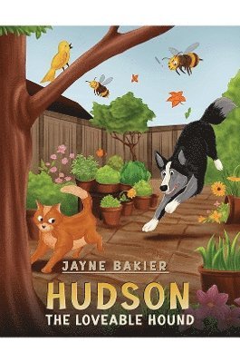 bokomslag Hudson