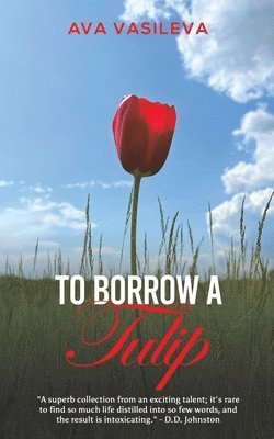 bokomslag To Borrow a Tulip