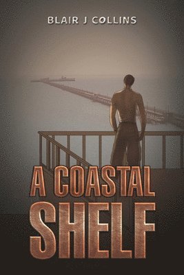 bokomslag Coastal Shelf