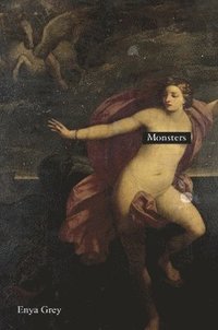 bokomslag Monsters