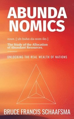 bokomslag Abundanomics  Unlocking the Real Wealth of Nations