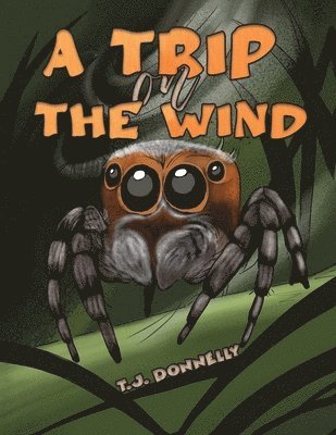 T.J. Donnelly, T. J. Donnelly - Trip on the Wind, Häftad