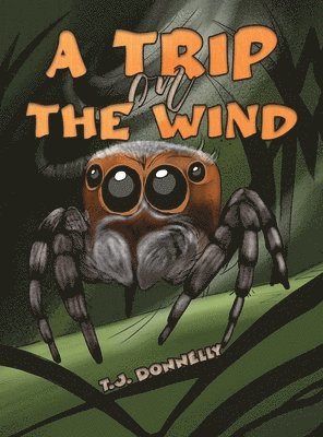 Trip on the Wind 1
