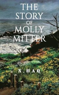 bokomslag The Story of Molly Mitter