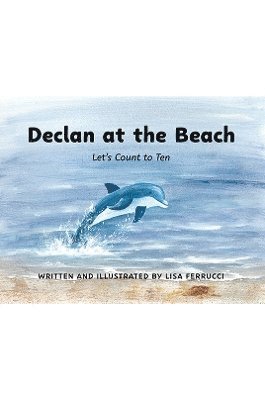 Lisa Ferrucci - Declan at the Beach, Häftad