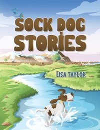 bokomslag Sock Dog Stories