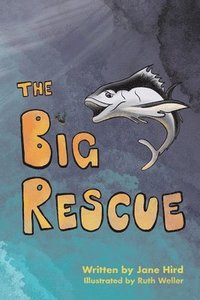 bokomslag The Big Rescue