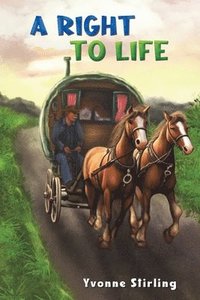 bokomslag Right to Life