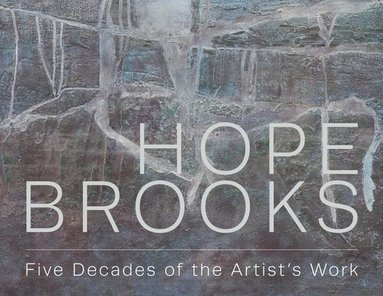 bokomslag Hope Brooks: Five Decades of the Artist's Work