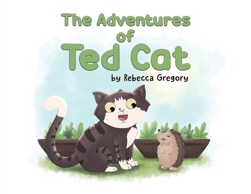 The Adventures of Ted Cat 1