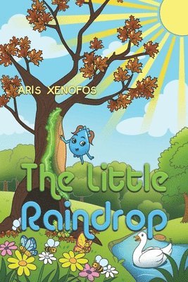 bokomslag Little Raindrop