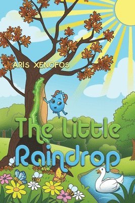 bokomslag The Little Raindrop