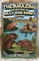 bokomslag Amazing Adventure of Billy and Bobby Beaver