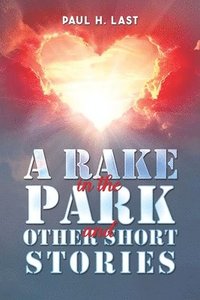 bokomslag A Rake in the Park and Other Short Stories