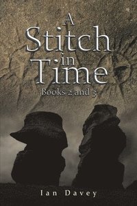 bokomslag A Stitch in Time