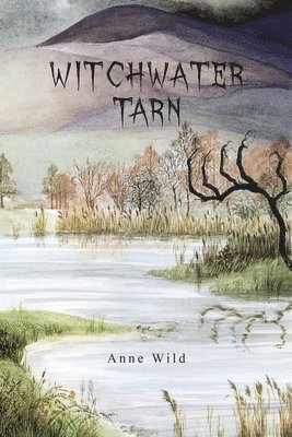 Anne Wild - Witchwater Tarn, Häftad