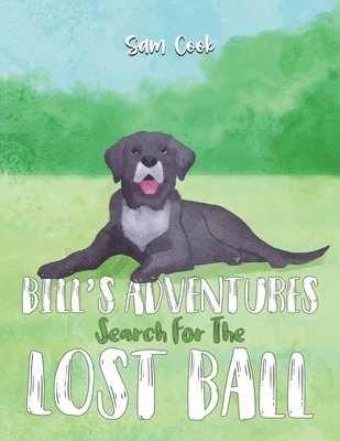 Sam Cook - Bill’s Adventures: Search for the Lost Ball, Häftad