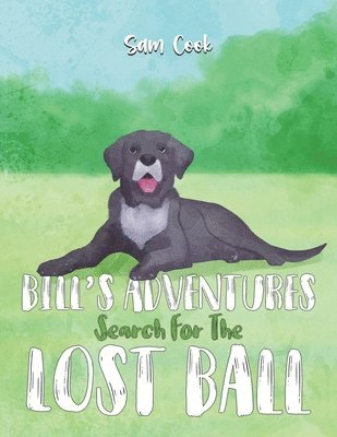 Bills Adventures: Search for the Lost Ball 1