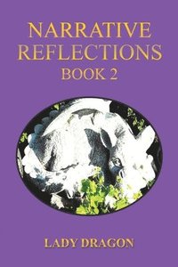 bokomslag Narrative Reflections - Book 2