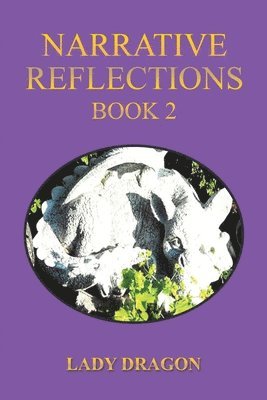 bokomslag Narrative Reflections  Book 2