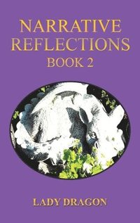 bokomslag Narrative Reflections - Book 2