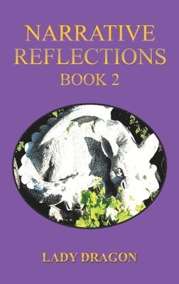 bokomslag Narrative Reflections  Book 2