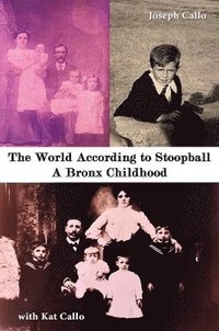 bokomslag The World According to Stoopball