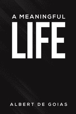 bokomslag Meaningful Life