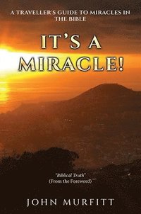 bokomslag It's a Miracle!
